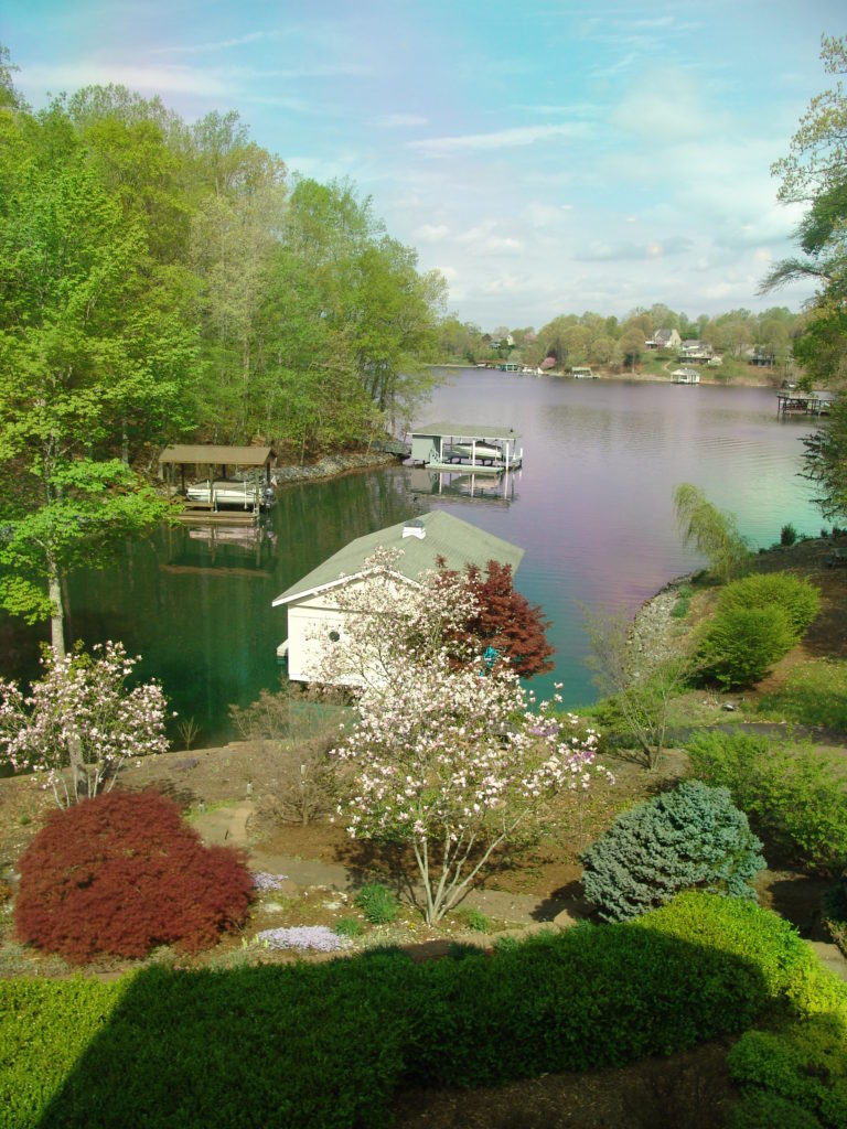 Houses For Sale Mountain Lake at Tim Sedgwick blog